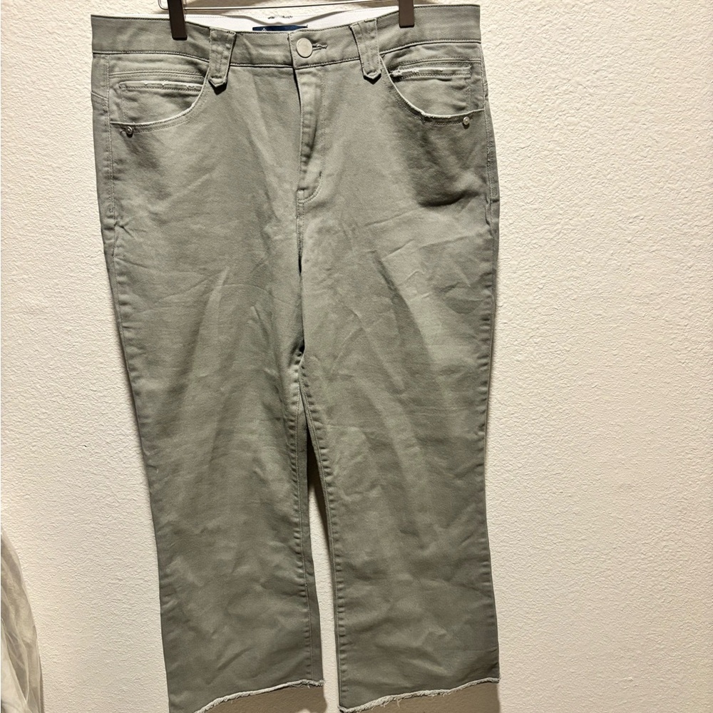 Democracy Gray Cropped Pants